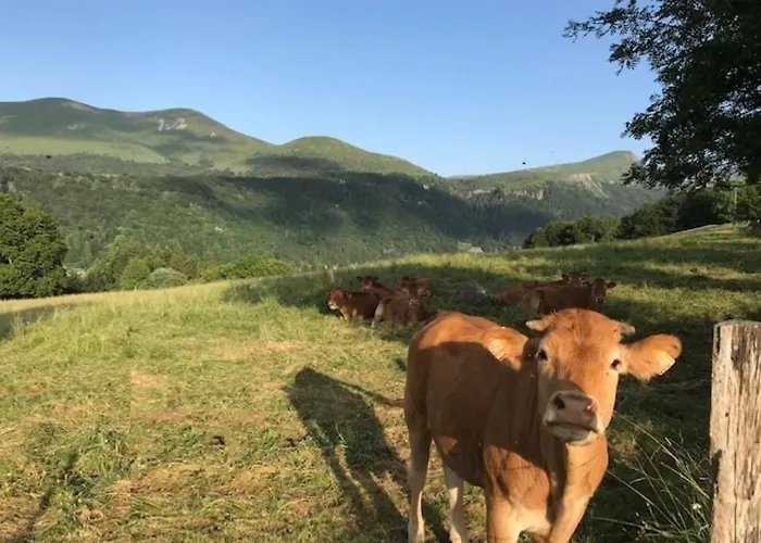 Appartement : T2 Avec Terrasse, Balcon Et Wifi - Proche Centre Et Thermes - Fr-1-608-245 La Bourboule